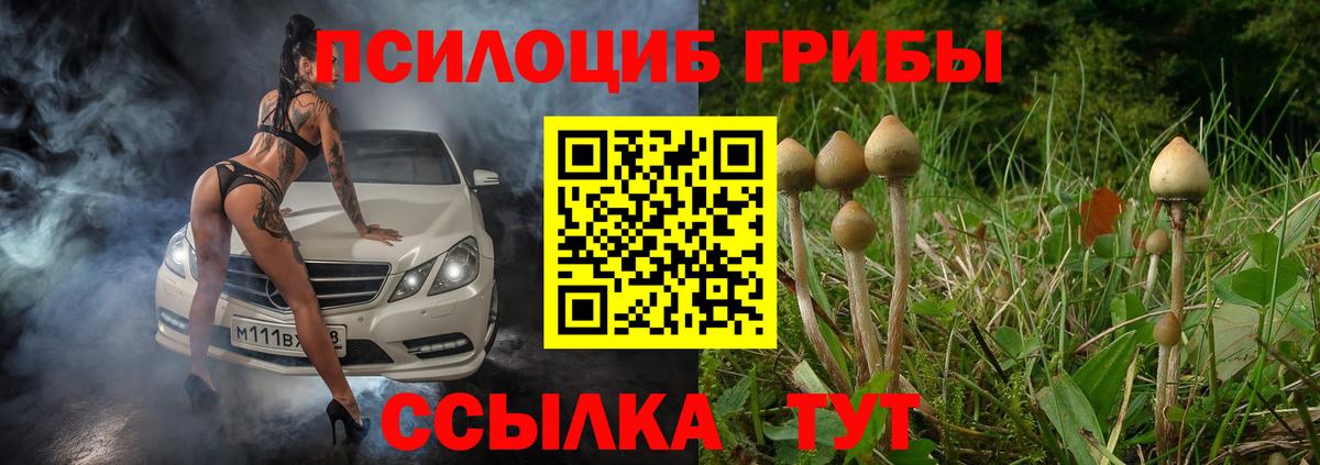 Курск  купить наркотик  Вход с VPN  Галлюциногенные грибы MAGIC MUSHROOMS 